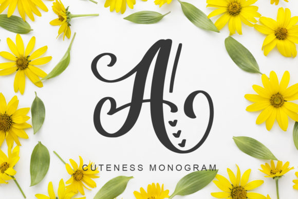 Amorah Monogram: A Font That Elevates Your Brand