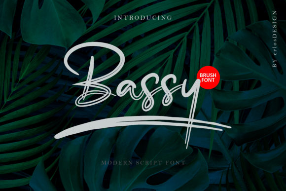 Bassy: A Script Font for Modern Web Design