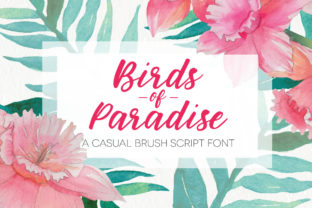 Birds of Paradies Font Review: A Fun, Handwritten Choice for Branding